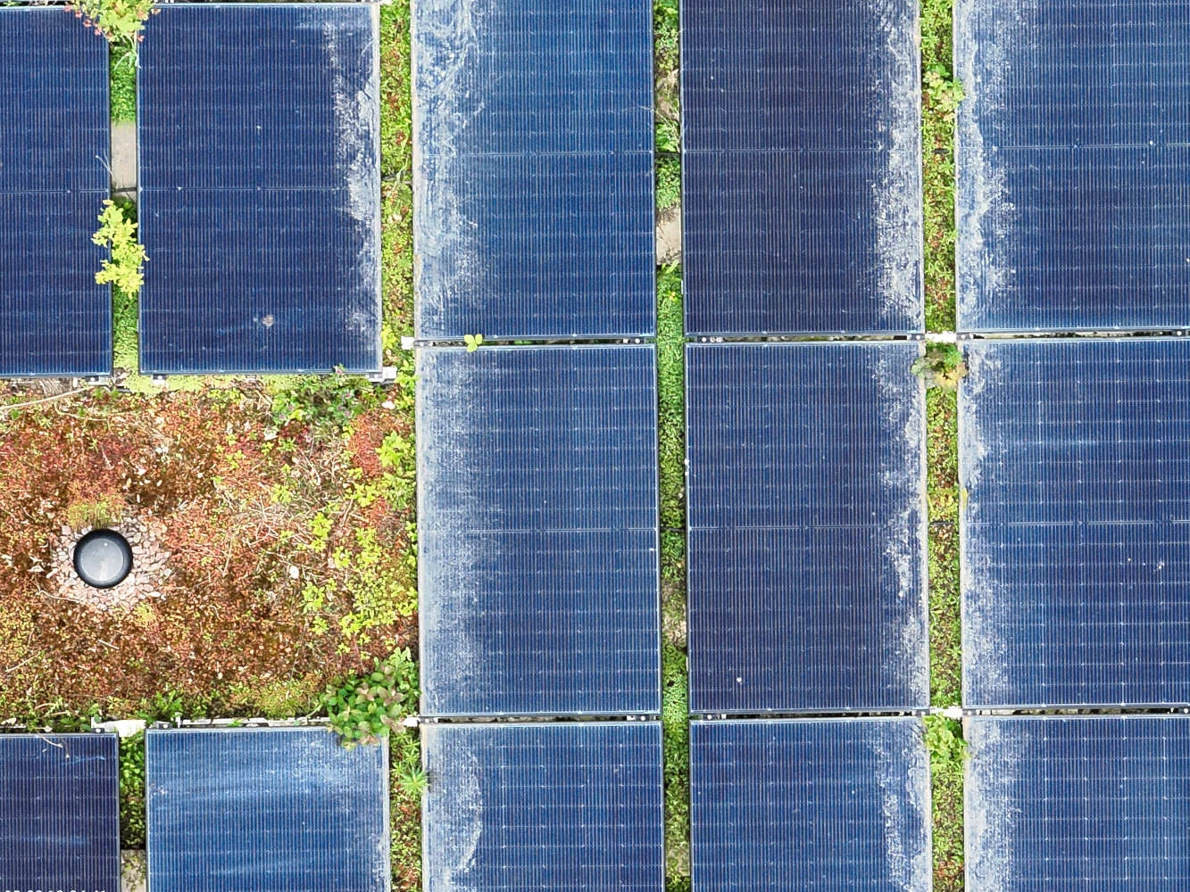 Verschmutzung und Bewuchs zwischen Photovoltaikmodulen